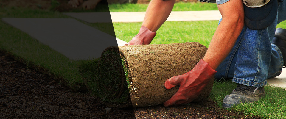 Cass Lake Landscapers